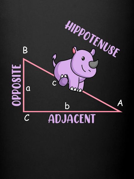 Mathematiker Mathelehrer Hippotenuse