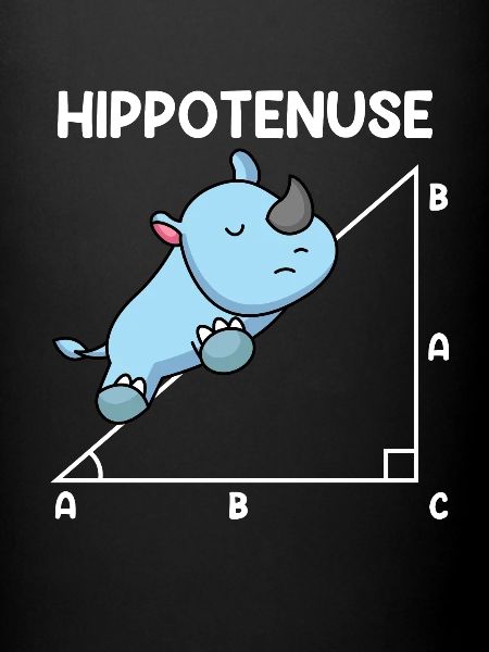 Hypoténuse Hippopotence Math