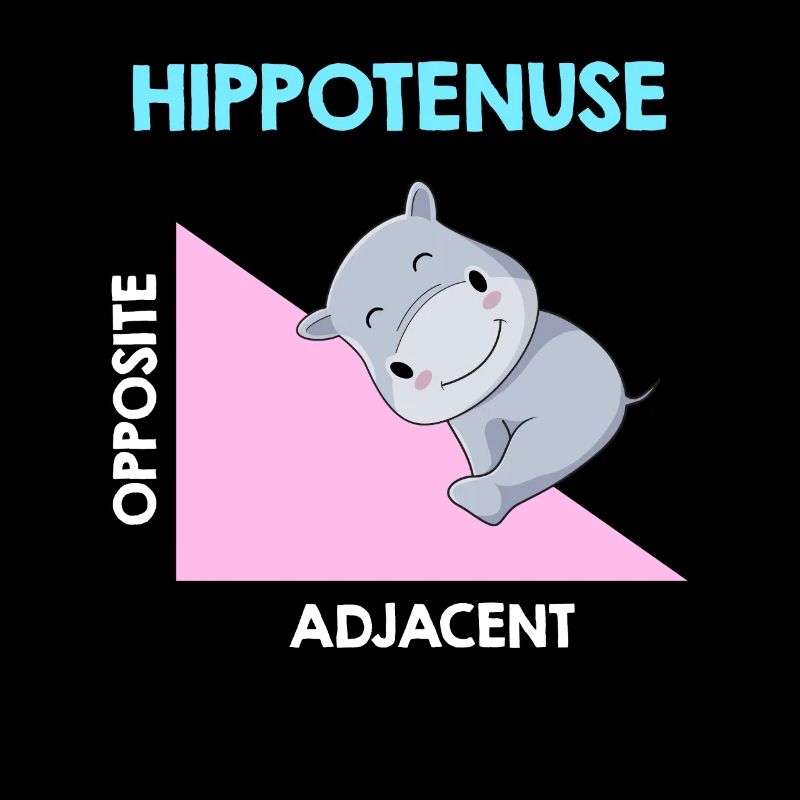 Hippotenuse Algebra Analysis