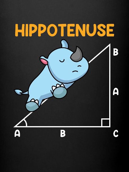 Hypoténuse Hippopotence Math
