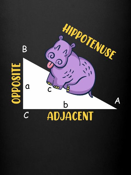 Hippotenuse Math