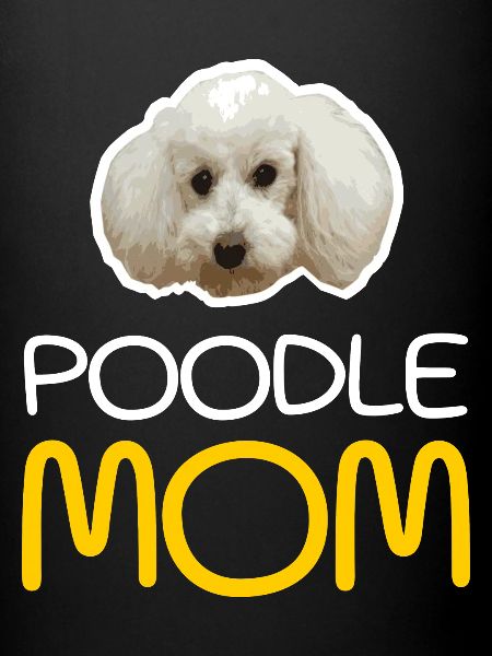 Caniche Mama - maman caniche