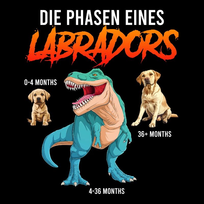 Labrador Hund METAMORPHOSE EINES LABRADORS