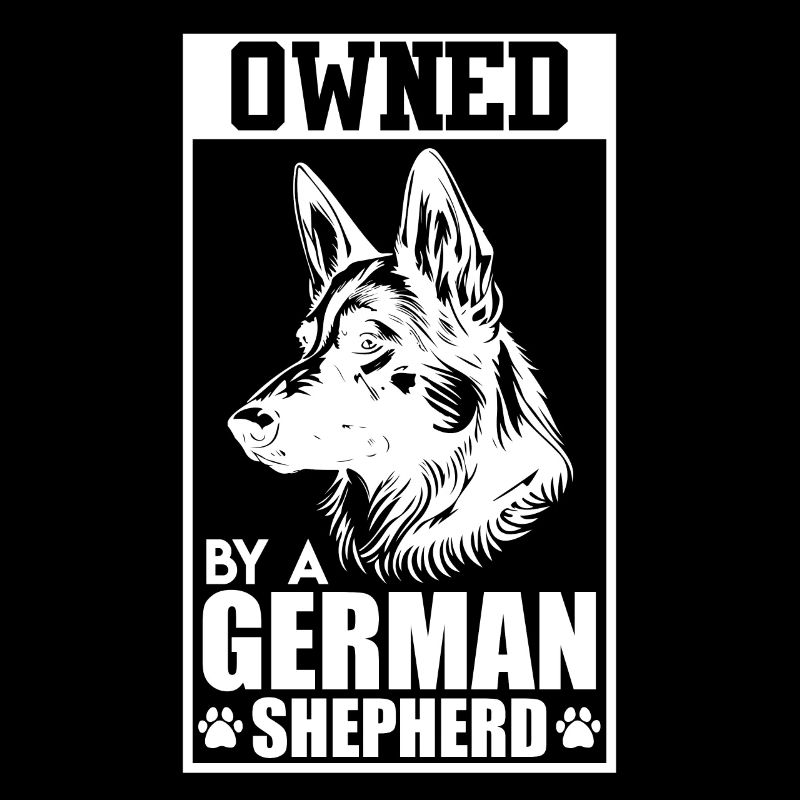 Deutscher Schäferhund PROPRIÉTÉ DE BERGER ALLEMAND