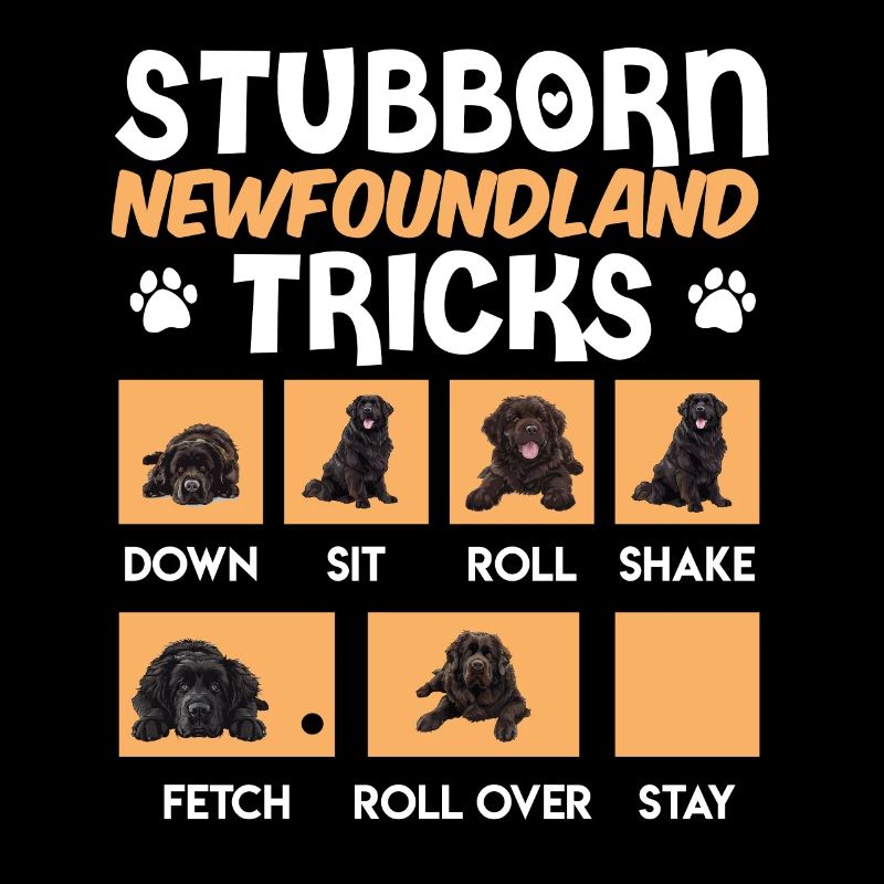 Newfie STUBBORN NEWFOUNDLAND TRICKS Lustiges