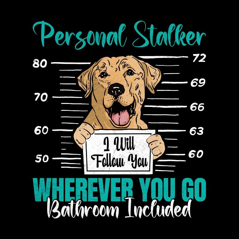Labrador Fan PERSONAL STALKER Drôle
