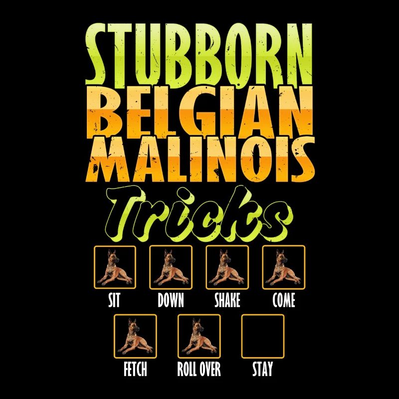 Belgian Shepherd STUBBORN BELGIAN MALINOIS