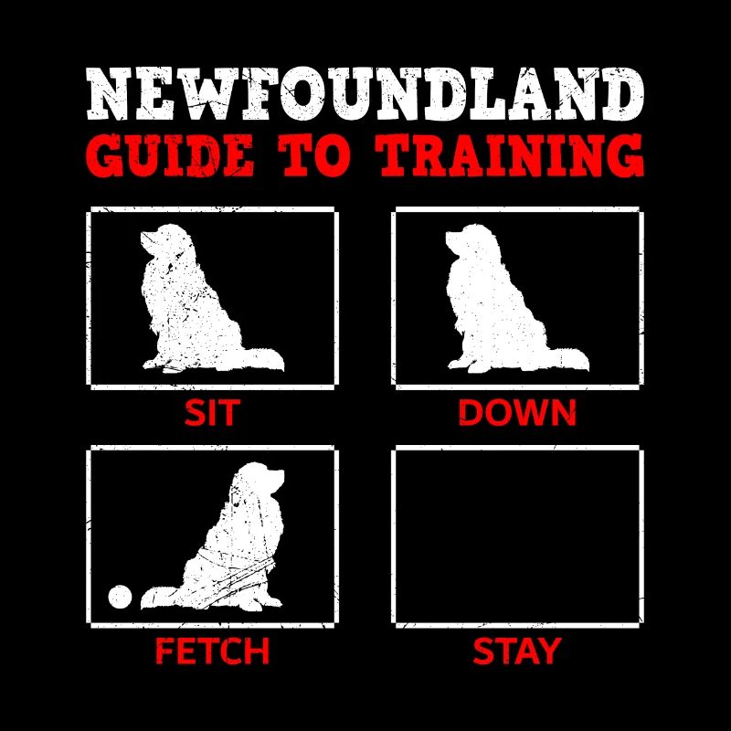 Propriétaire de Newfie TERRE-NEUVE GUIDE DE FORMATION