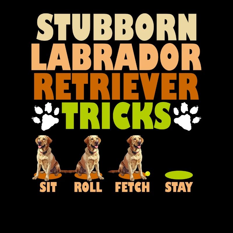 Labrador Hunde STUBBORN LABRADOR RETRIEVER TRICKS