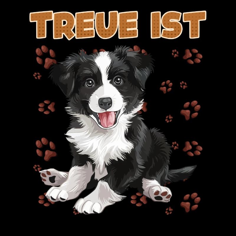Border Collie TREUE IST ein Border Collie Hunde