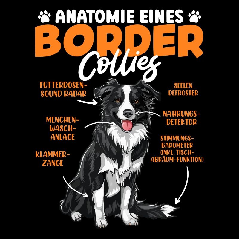 Border Collie ANATOMIE D’UN BORDER COLLIE Drôle