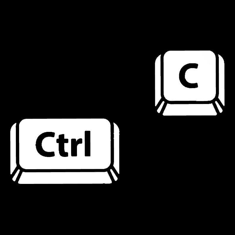 Ctrl C