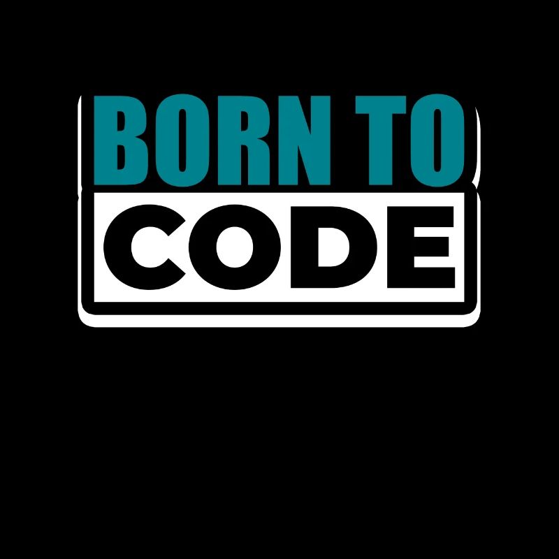 Programmer