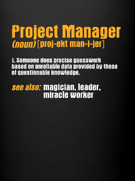Project manager