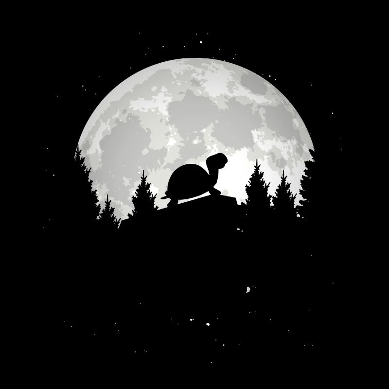 Turtle In Front of the Moon