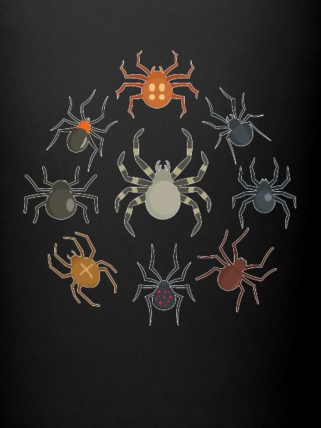 Les araignées