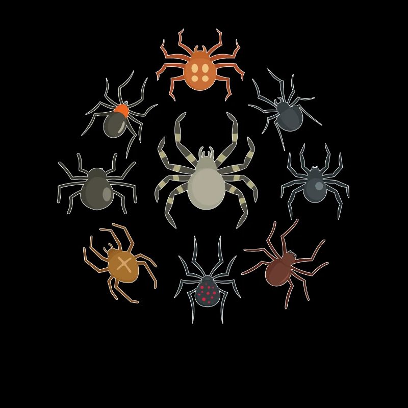 Les araignées