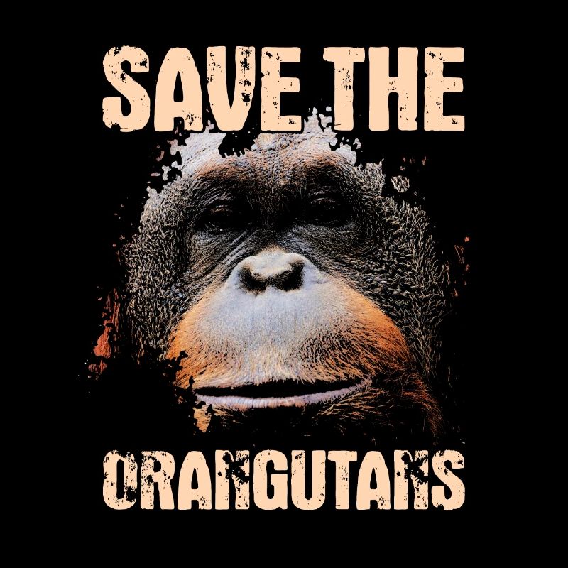 Protège les orangs-outans