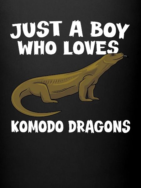Komodowaran cadeau garçons