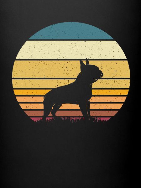 Boston Terrier