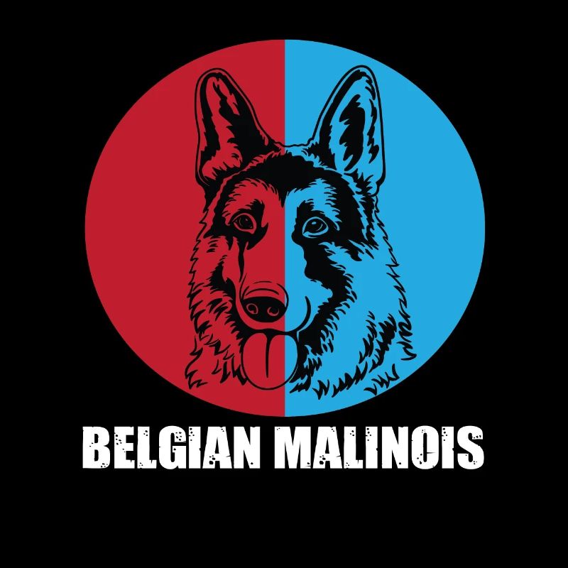 Malinois belge