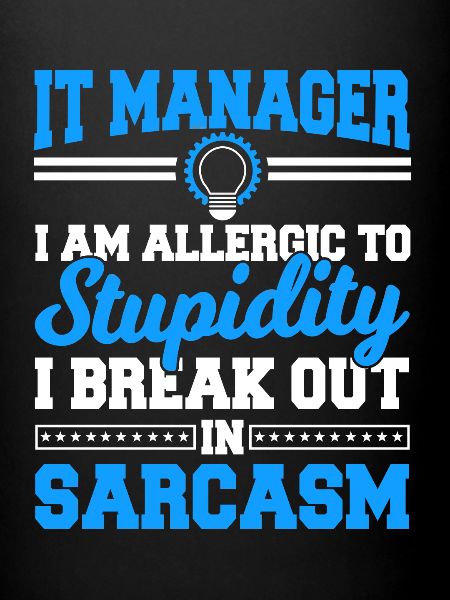 IT Manager Proverbes