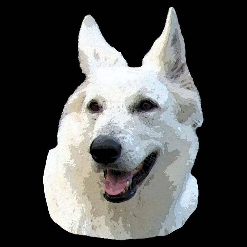 Berger Blanc