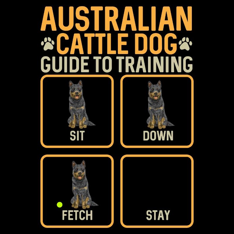 Bouvier australien Red Blue Heeler