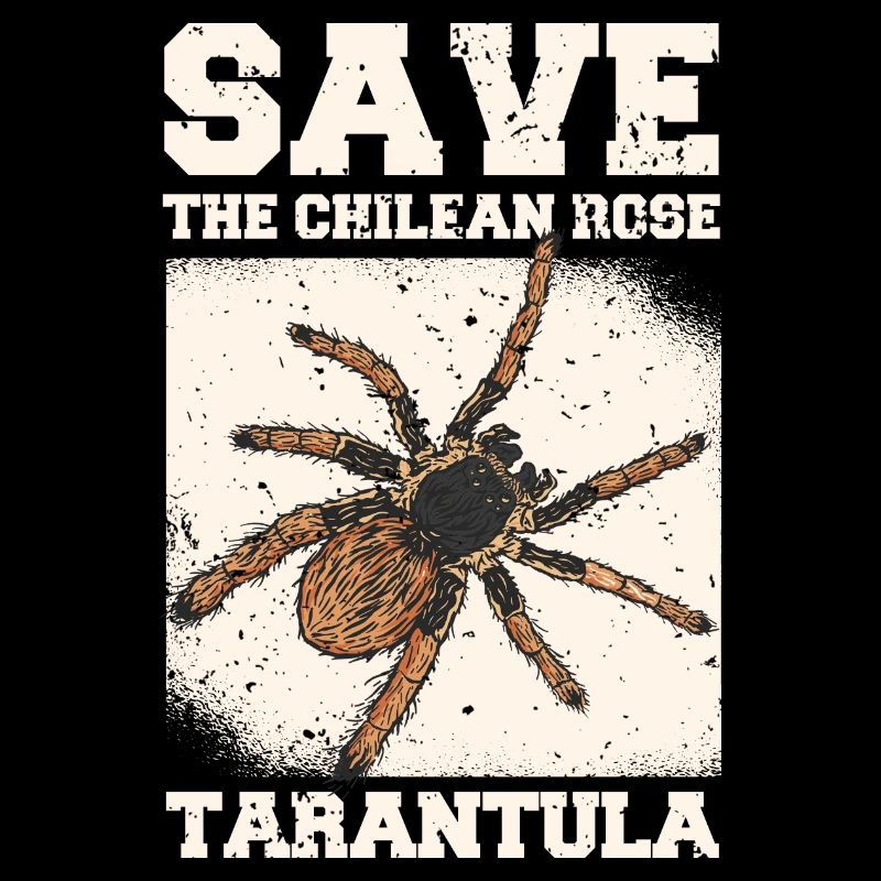 Tarantula Haustier Spinne Tarantulas Spinnen Tiere