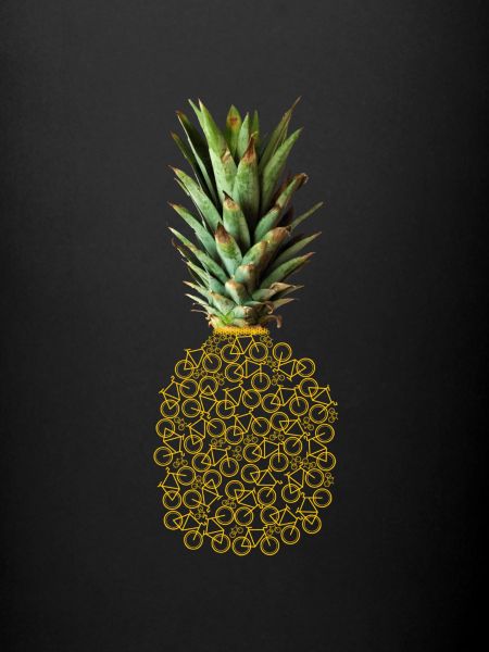 L’ananas de vélo !