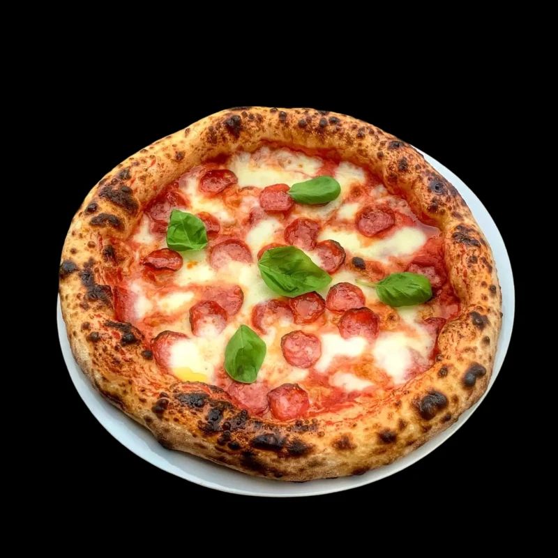 SALAMI PIZZA PIZZA.