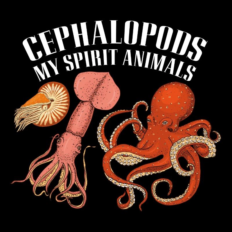Cephalopod octopus octopus squid