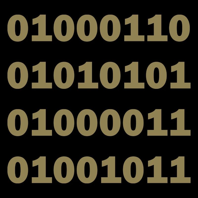 Code binaire Fuck
