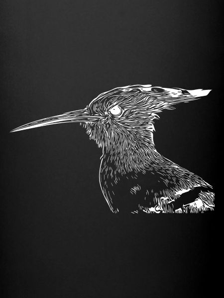 Hoopoe bird