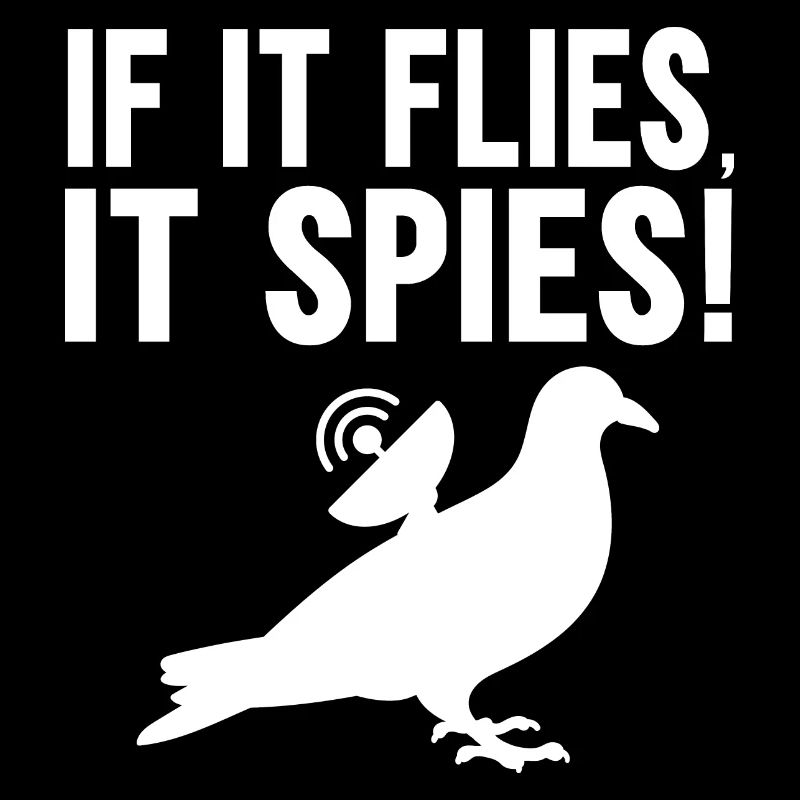When it flies, it spies