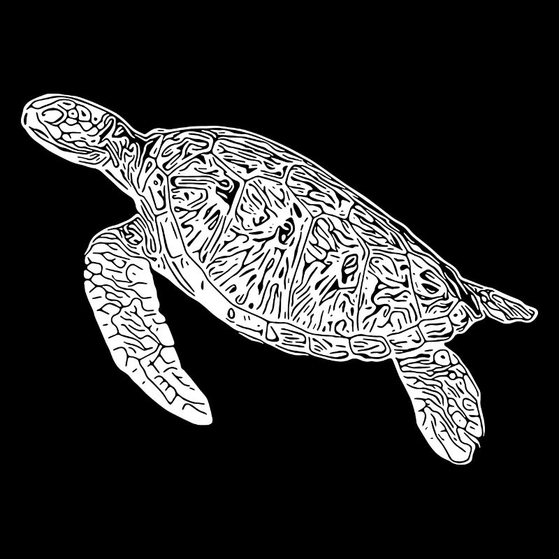 Vintage diving turtle