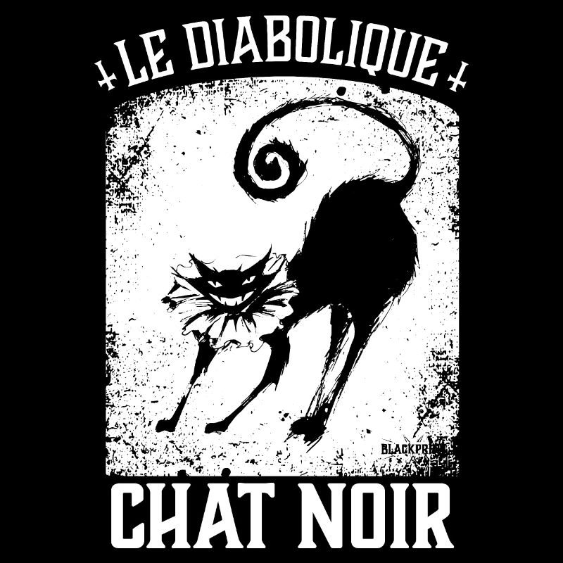 Chat Noir