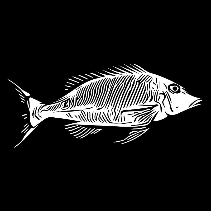 Vintage Fish HerringBone Bony Fish Squelette