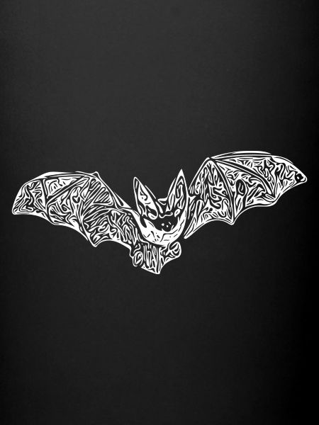 Incredibly cute bat
