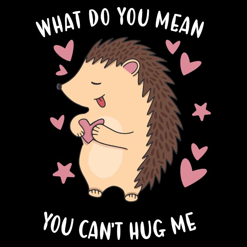 Hedgie Qu'est-ce que tu veux dire tu ne peux pas m'embrasser Hérisson