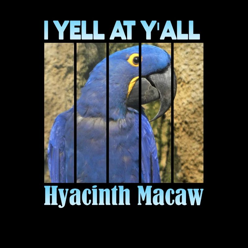 Hyacinthhara