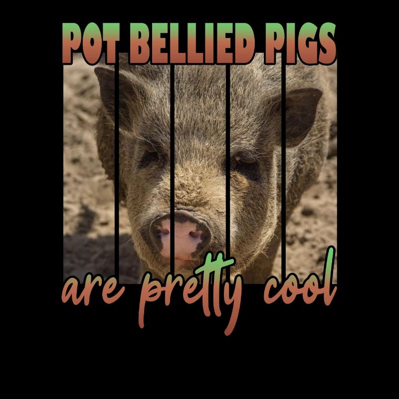 Les cochons à ventre de pot sont plutôt cool