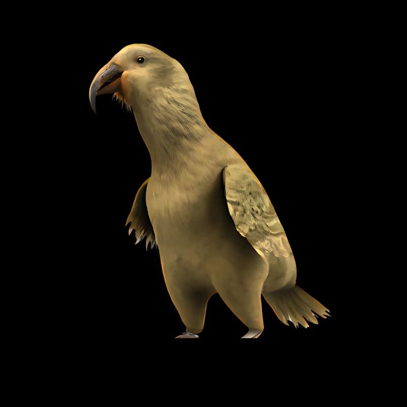 Kakapo - The nocturnal parrot