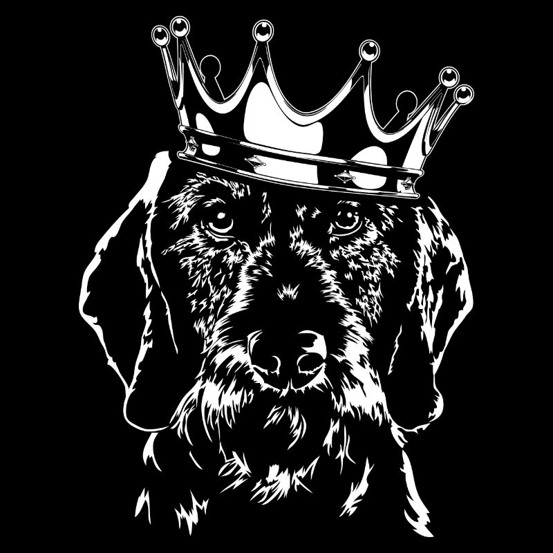 TECKEL DE LA COURONNE CHIENS Chien Wilsigns