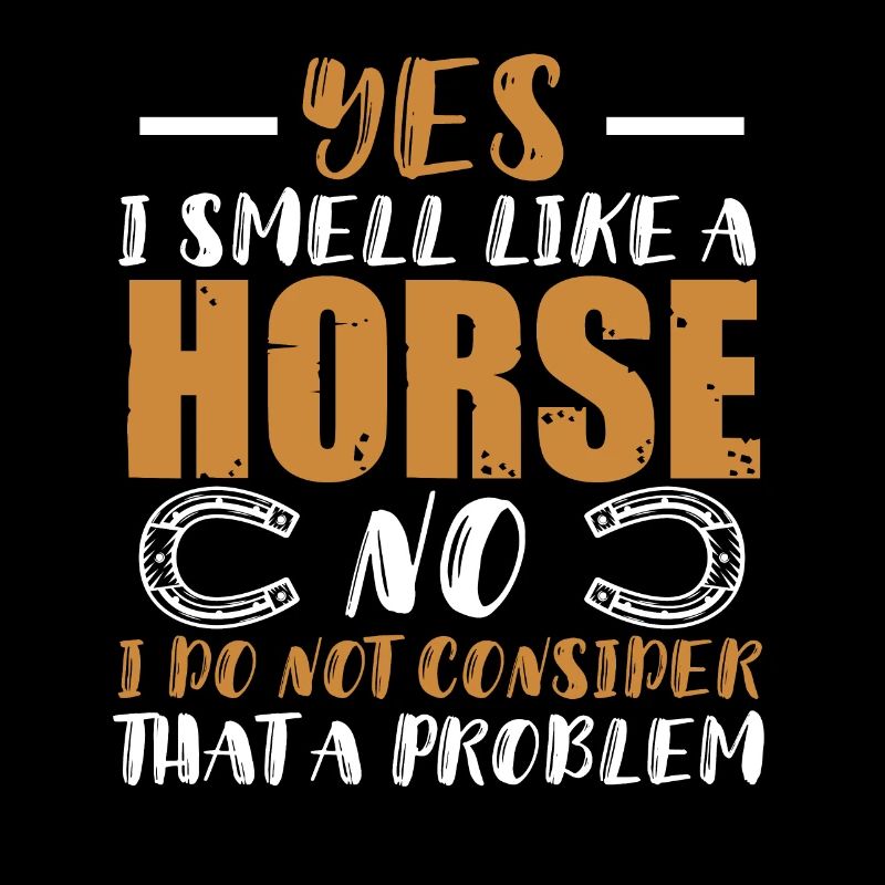 pferde horses