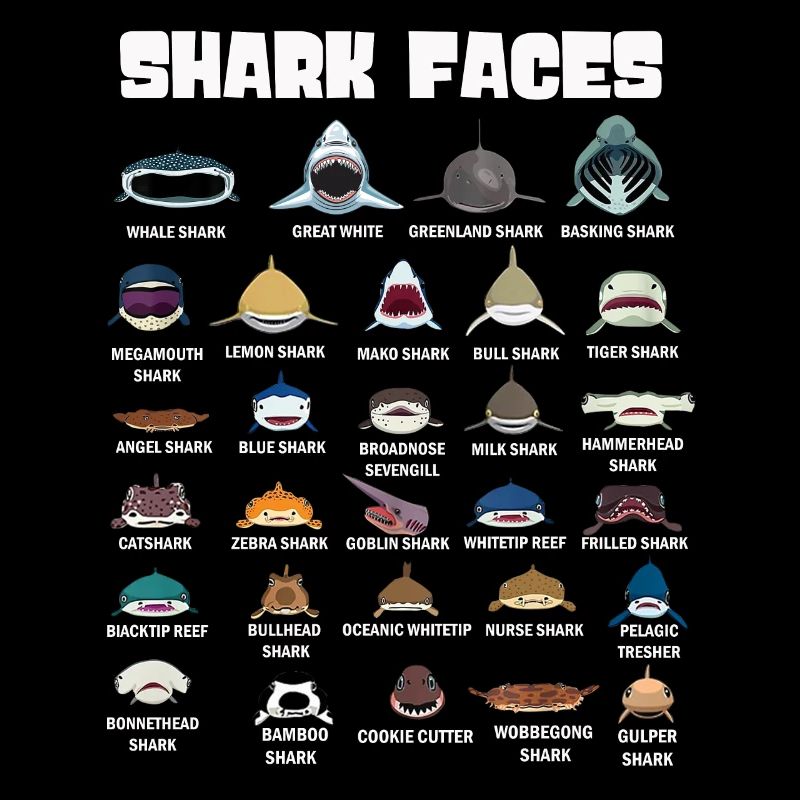 Types de visages de requin. Identification du visage du requin