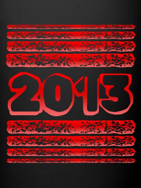 2013 2013