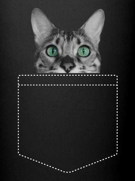 Chat Chats