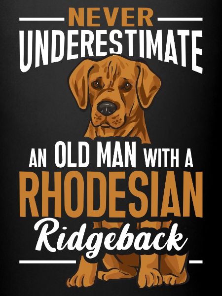 Rhodesian Ridgeback Dog