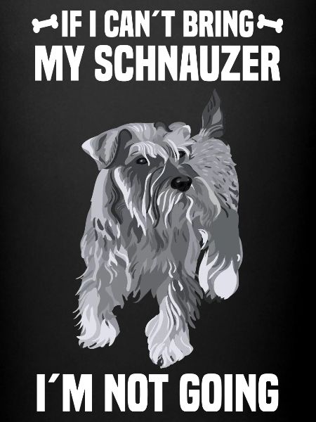 Schnauzer